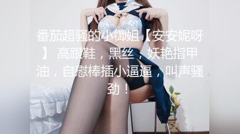 番茄超骚的小御姐【安安妮呀】 高跟鞋，黑丝，妖艳指甲油，自慰棒插小逼逼，叫声骚劲！