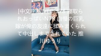 [中文字幕]VEC-378 寢取られおっぱいNTR 自慢の巨乳嫁が俺の友達に揉みまくられて中出しまでされていた 推川ゆうり