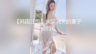 【韩国三级】失踪消失的妻子.2016