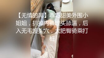 【无情的屌】乖巧甜美外围小姐姐，扒掉内裤埋头舔逼，后入无毛馒头穴，大肥臀骑乘打桩