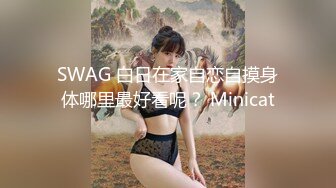 SWAG 白日在家自恋自摸身体哪里最好看呢？ Minicat