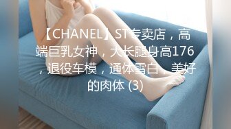 【CHANEL】ST专卖店，高端巨乳女神，大长腿身高176，退役车模，通体雪白，美好的肉体 (3)