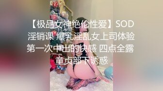 【极品女神绝伦性爱】SOD淫销课 爆乳淫乱女上司体验第一次中出的快感 四点全露 童贞部下诱惑